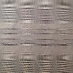 Bridget Riley