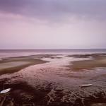 Joel Meyerowitz