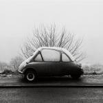 Martin Parr