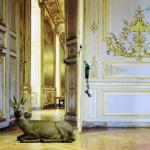 Karen Knorr