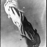 Erwin Blumenfeld
