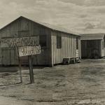 Dorothea Lange