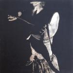 Enrico Cazzaniga