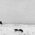 Pentti Sammallahti