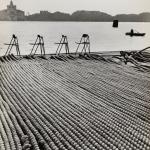 Fulvio Roiter