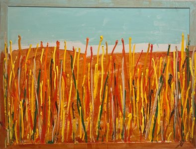 Asta di Felima di Luned&igrave; 16 marzo 2026